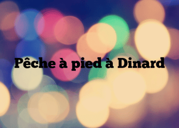 Pêche à pied à Dinard