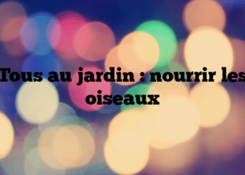 Tous au jardin : nourrir les oiseaux